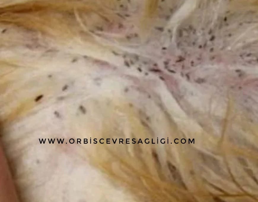 WhatsApp Image 2022-07-16 at 09.09.07