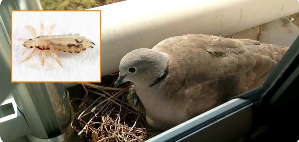 WhatsApp Image 2022-08-06 at 01.18.17