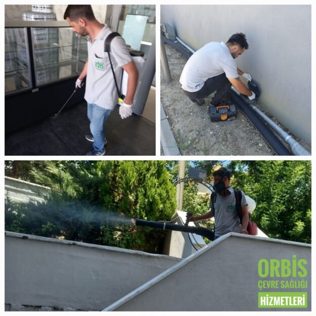 WhatsApp Image 2022-08-15 at 09.25.37