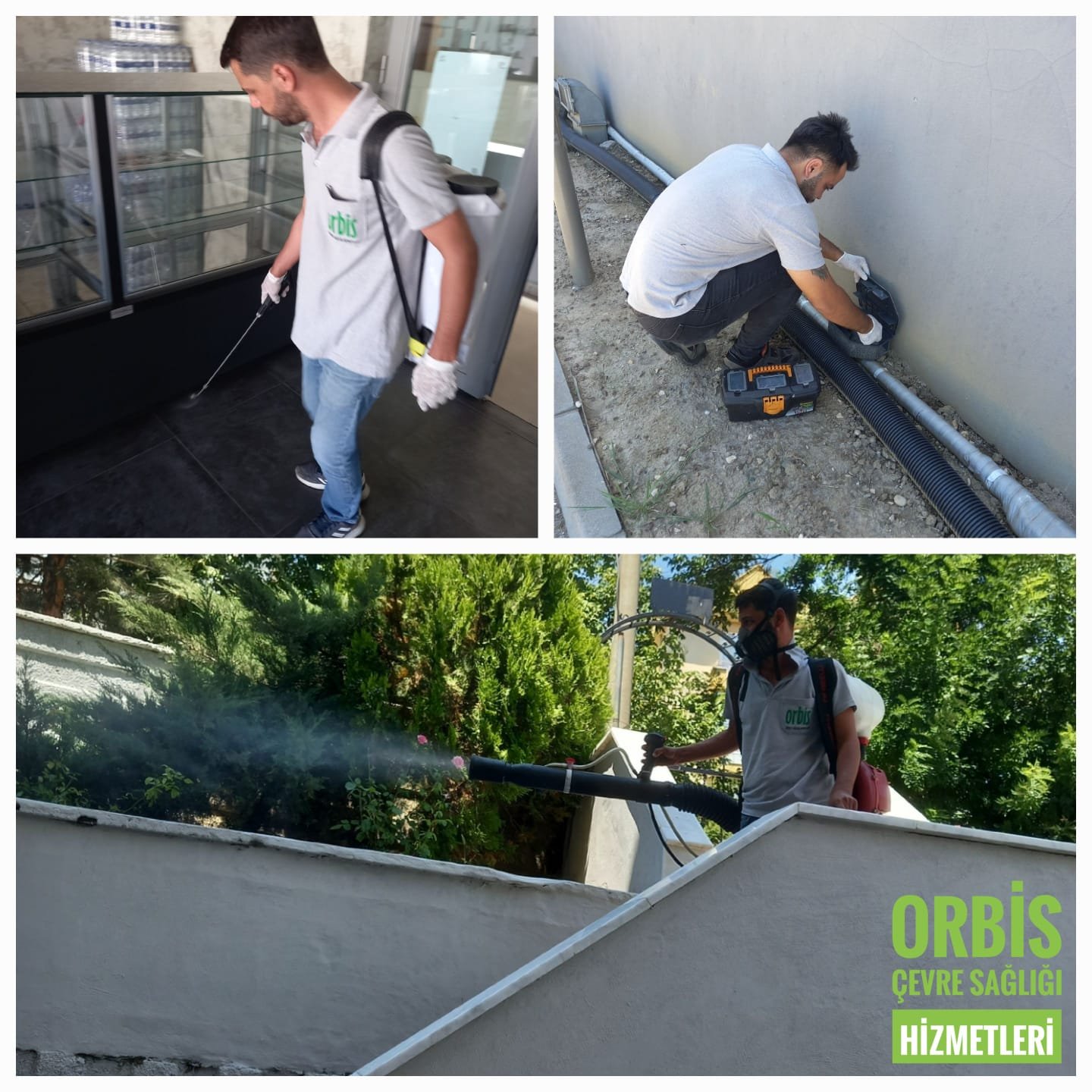 WhatsApp Image 2022-08-15 at 09.25.37