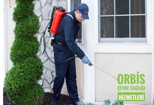 WhatsApp Image 2022-08-16 at 10.13.44