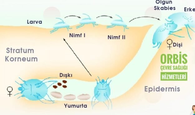 WhatsApp Image 2022-08-21 at 23.45.54