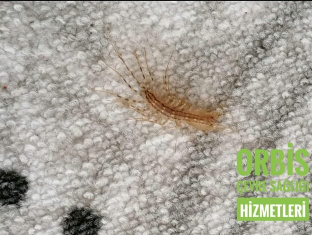 WhatsApp Image 2022-09-12 at 08.49.43